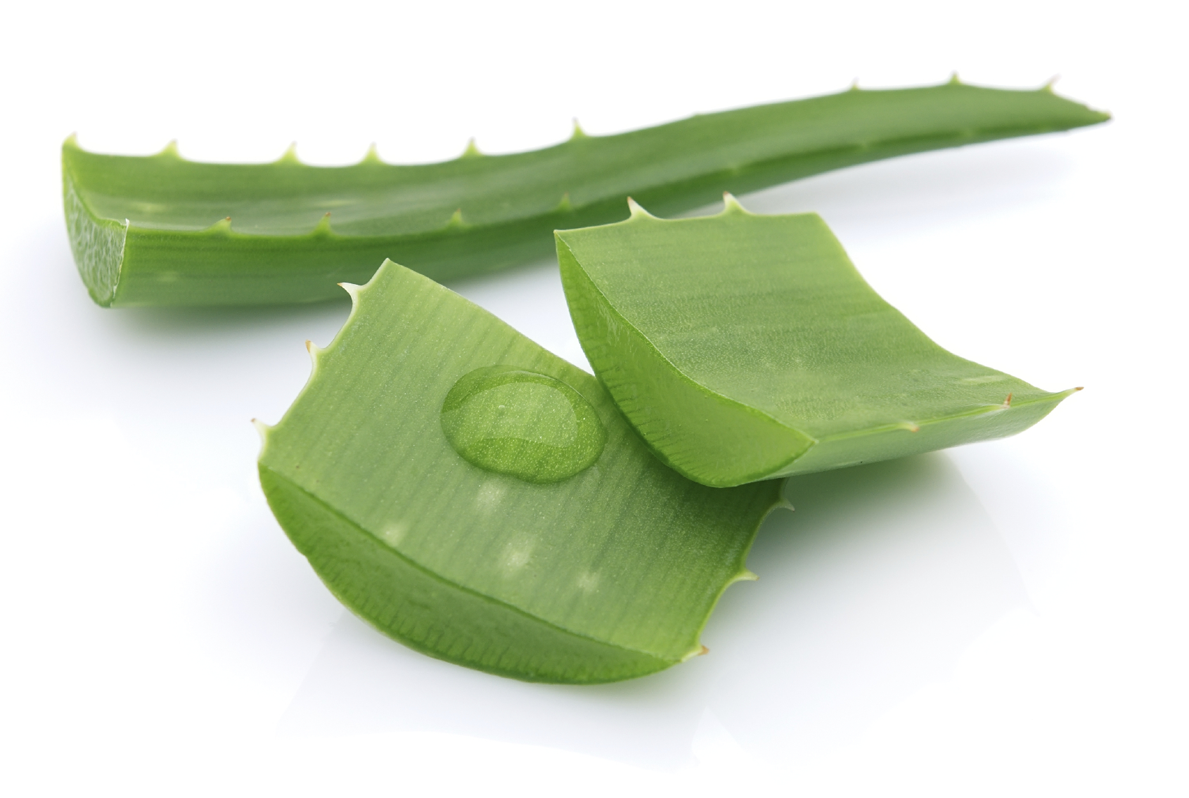 feuille aloe vera feuille aloe vera